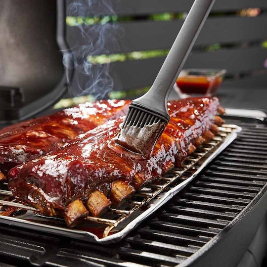 Weber Q 3200N Gas Grill with 2 pcs 6.44kW
