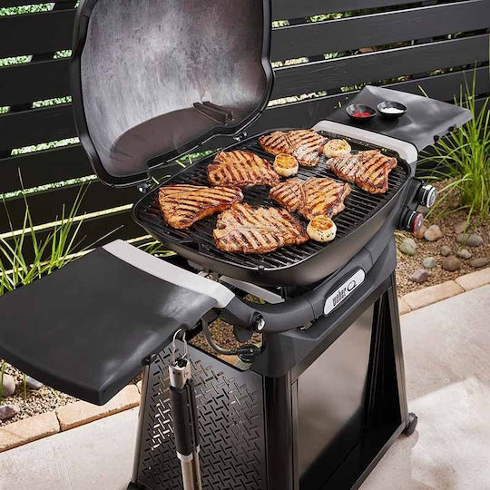 Weber Q 3200N Gas Grill with 2 pcs 6.44kW
