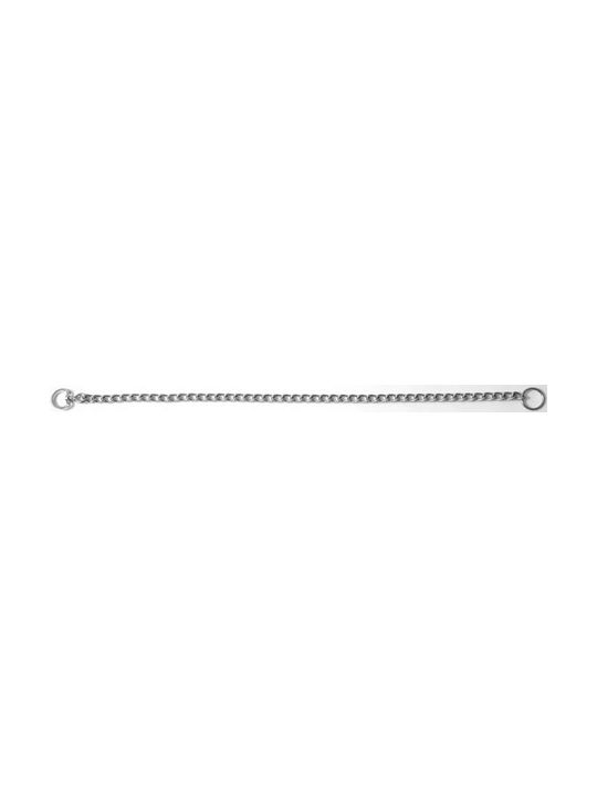 Ikaros Πνίχτης Σκύλου Αλυσίδα σε Ασημί χρώμα 4mm x 50cm