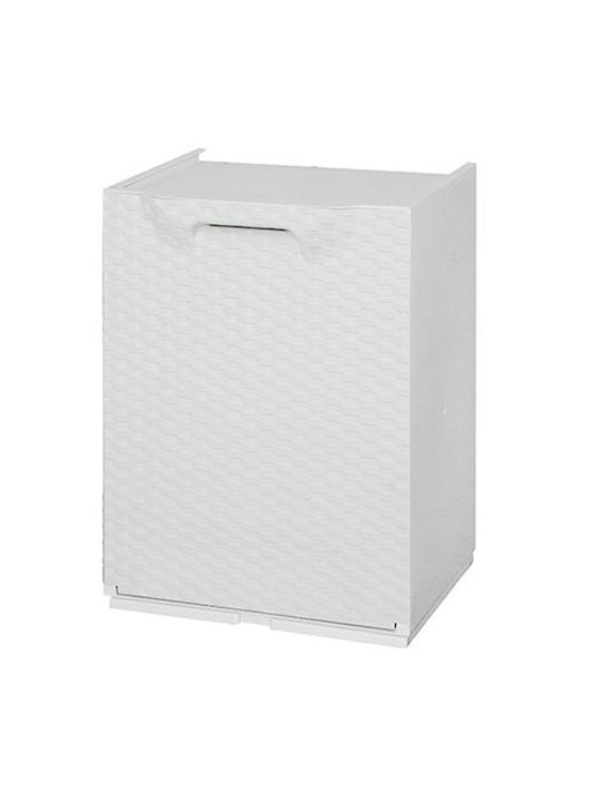 Plastik Schuhschrank R34/1FRW 34x29x47cm