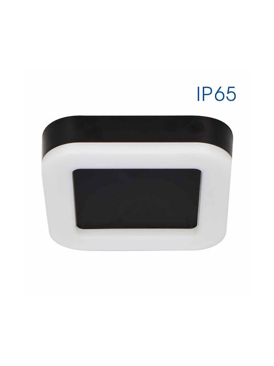 Vivalux Wasserdicht Deckenleuchte für den Außenbereich mit integriertem LED in Schwarz Farbe VIV004750