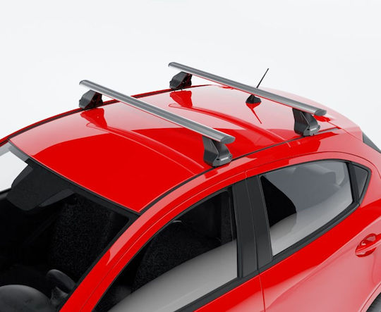Menabo 112cm. (with Roof Rack Legs) Silver
