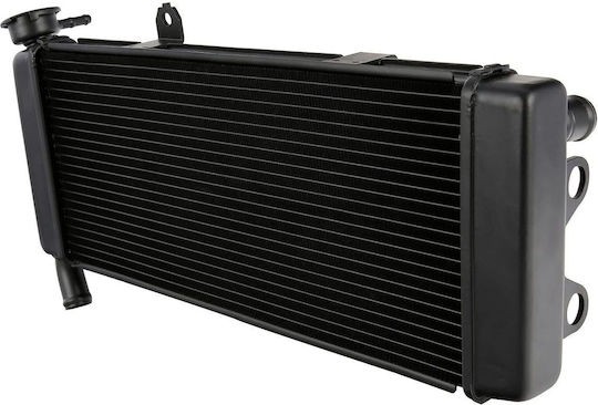 Radiator Water Kawasaki Versys 650cc Kle Abs 2015>2021 Roc121219