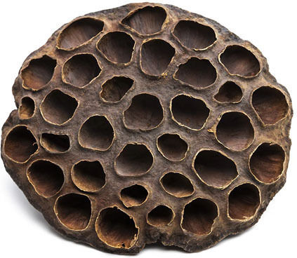 Ceramic Nature Lotus Pods Xxl