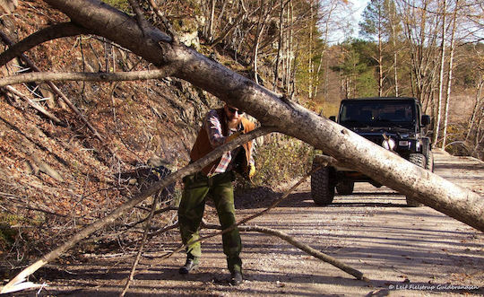 Nordic Pocket Saw Survival-Säge