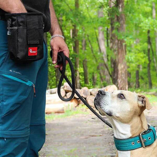 Akinu Fall behandeln Ausbildung Hund