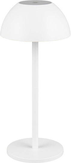 Trio Lighting Διακοσμητικό Φωτιστικό LED Θερμό Λευκό 3000K 13x13x30εκ.