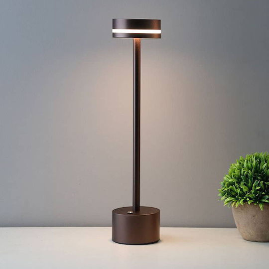 ArkoLight Decorative Lamp ArkoLight Decorative Lamp