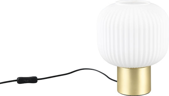Trio Lighting Διακοσμητικό Φωτιστικό E27 20x26εκ.