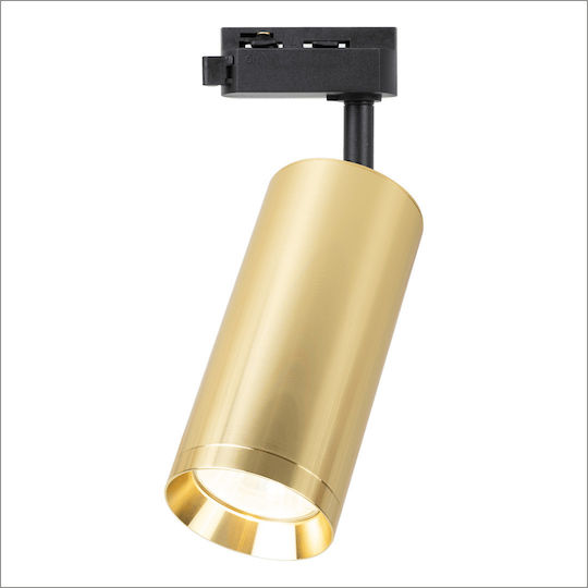 Eko Light Einzel Spot mit Fassung GU10 in Gold Farbe