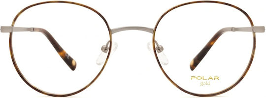Polar Optic Gold 2004 C428 50 Brown Tortoise