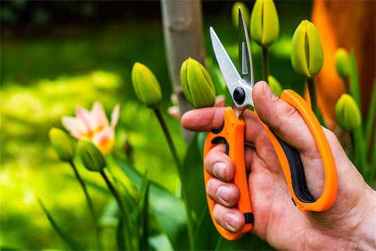 Neo Tools 15-215 Scissor