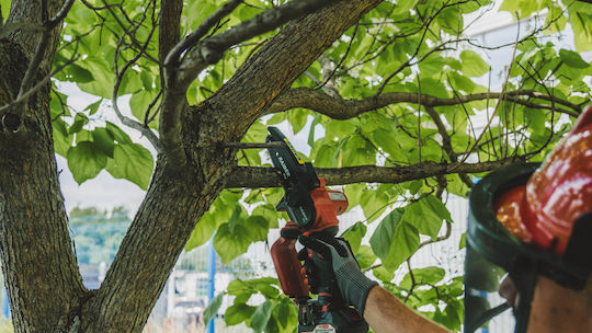 Raider Pruning Battery Chainsaw Solo 20V 1.5kg with Blade 12cm