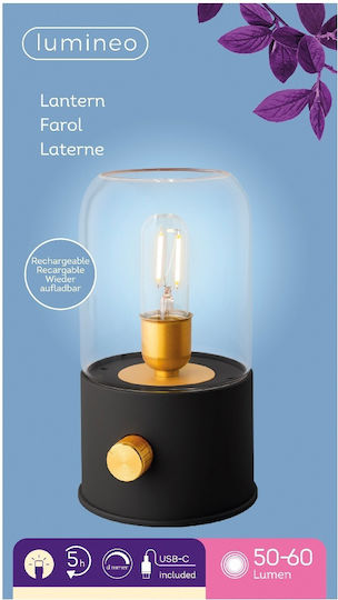 Lumineo Dekorative Lampe Schwarz