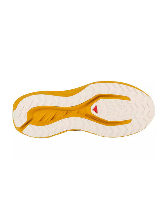 Gravel Sport Shoes Running Brown