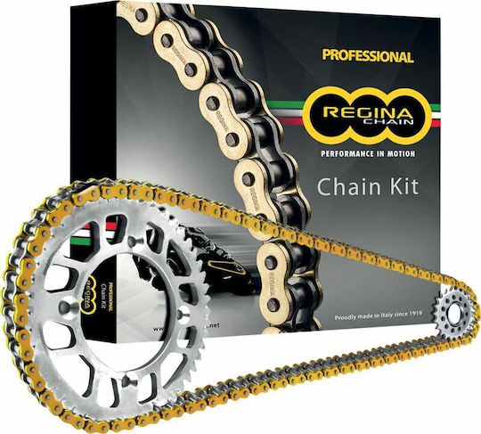 Regina Chain & Sprocket Kit for Triumph Daytona