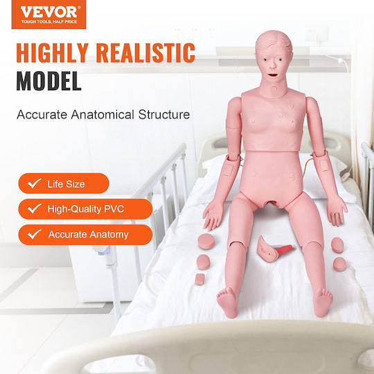 Vevor Interactive Training & CPR Model