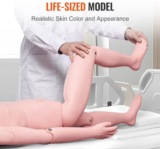 Vevor Interactive Training & CPR Model
