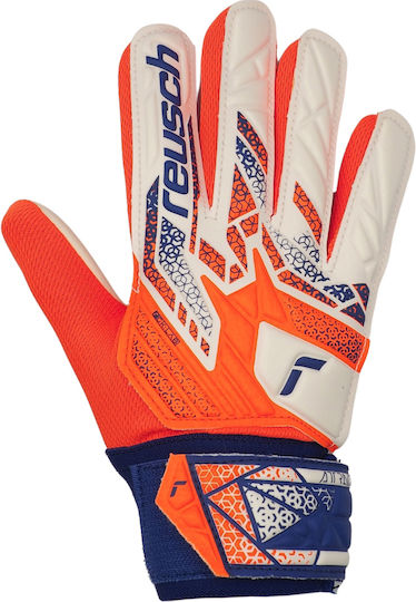 Reusch Attrakt Starter Solid Kids Goalkeeper Gloves Multicolour
