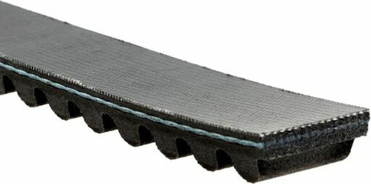 Gates Ιμάντας Μετάδοσης Μοτοσυκλέτας PL31009