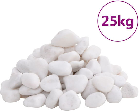 Vidaxl Pietricele Albe Lustruite 25 kg 2-5 cm Alb