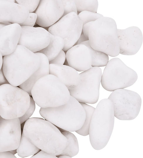 Vidaxl Pietricele Albe Lustruite 25 kg 2-5 cm Alb