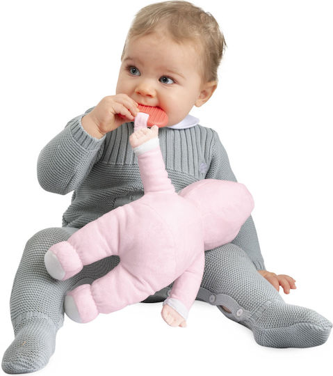Chicco Бебешка Кукла First Doll за 0+ Години