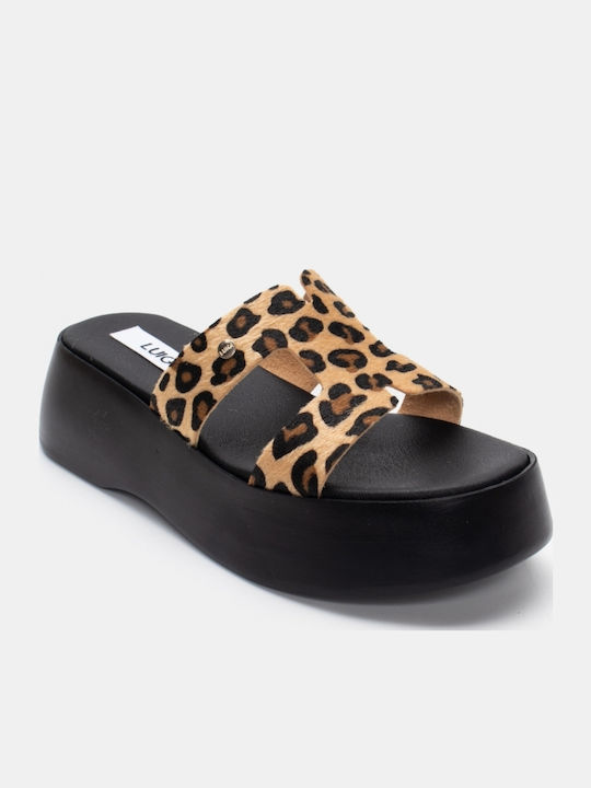 Women's Platform Shoes Brown