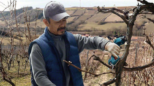 Bosch PRO PRUNER Ψαλίδι Κλαδέματος Μπαταρίας 12V 2x3Ah με Μέγιστη Διάμετρο Κοπής 25mm