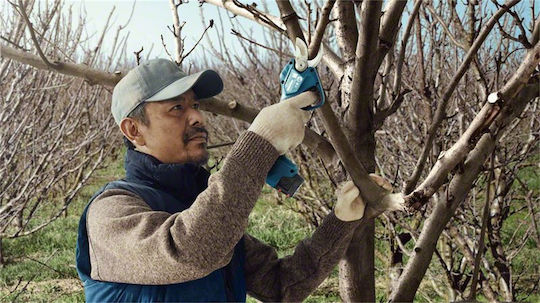 Bosch PRO PRUNER Ψαλίδι Κλαδέματος Μπαταρίας 12V 2x3Ah με Μέγιστη Διάμετρο Κοπής 25mm