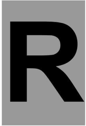 Ergo "R" Πινακίδα με Γράμμα R σε Μαύρο Χρώμα 4cm 572410.0080