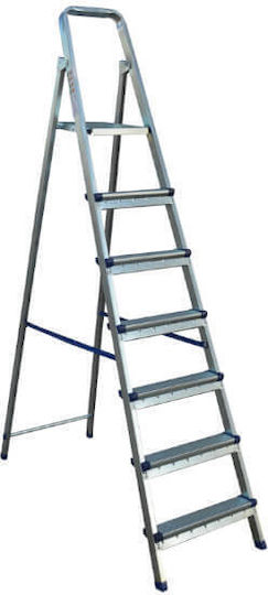Profal Ladder Iron with 4+1 Steps