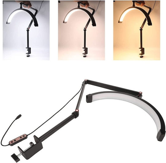 Aesthetic Center Lighting Half Moon Clamp Support Light Fixture