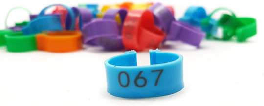 Ringe markieren 10Stück