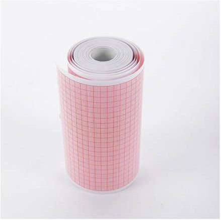 Gima Echocardiography Roll Paper with Sheets