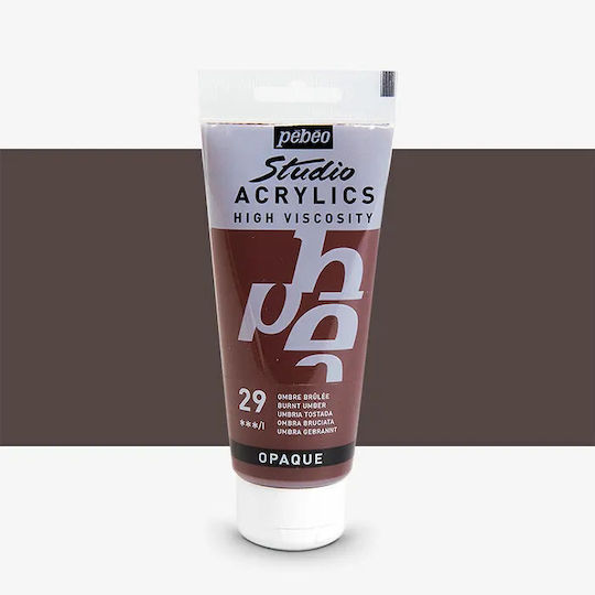 Acrylic Pebeo Studio Paint 100ml Burnt Umber 831029