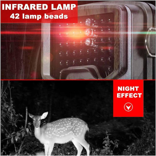 Camera de vânătoare Cu vedere pe timp de noapte