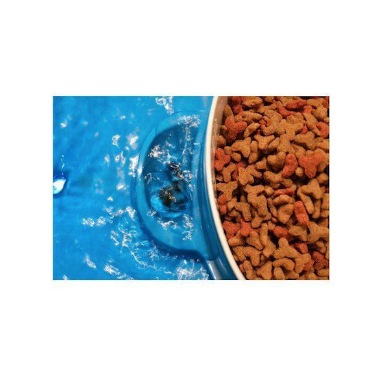 Bimar Automatisch Wasserspender / Brunnen für Hund & Katze auf Basis von 800ml in Blau Farbe