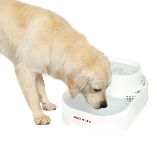 Kerbl Mate Automatic Waterer / Fountain for Dog & Cat 6lt