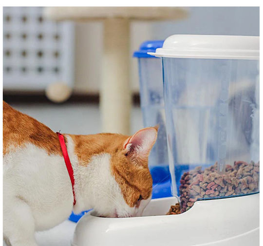 Ferplast Automatic Plastic Water Dispenser for Dogs & Cats 3 L 28.8 cm