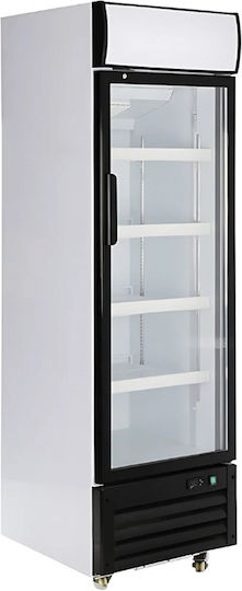 Dynamic Ψυγείο Μπύρας 420lt Μονόπορτο Υ215xΠ62xΒ70cm
