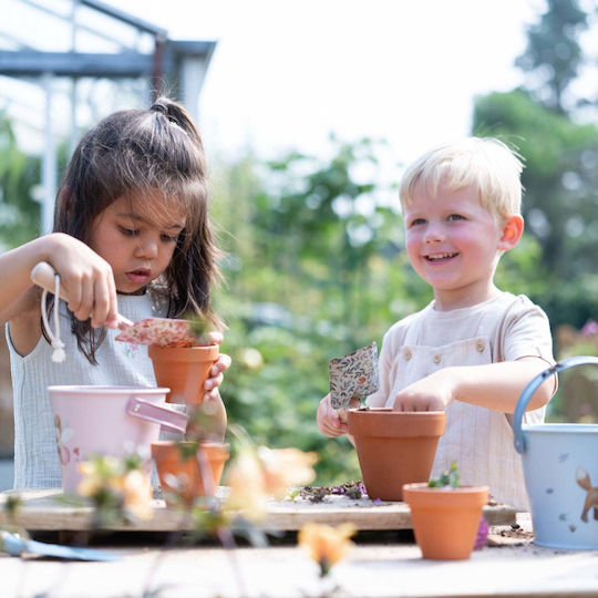 Little Dutch Garden Bucket Fairy Garden
