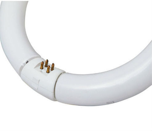 Ledvance Fluorescent Lamp for Socket G10Q with Shape T9 22W 216mm