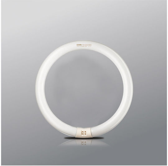 Com Leuchtstofflampe mit Form T9 40W