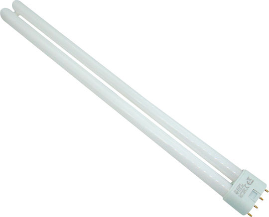 SPL Leuchtstofflampen für Fassung 2G11 36W 10Stück