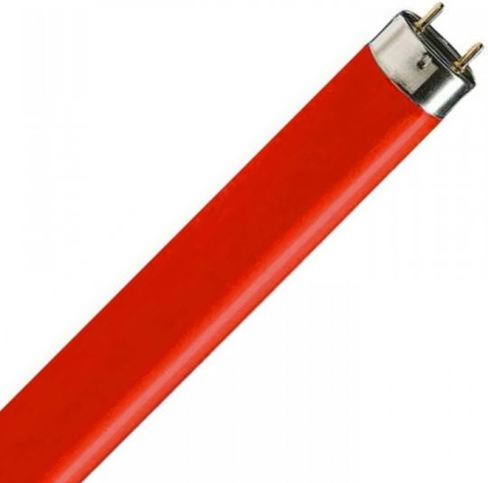 Osram Fluorescent Lamp for Socket G5 with Shape T5 21W FΗ 21W/60 Red