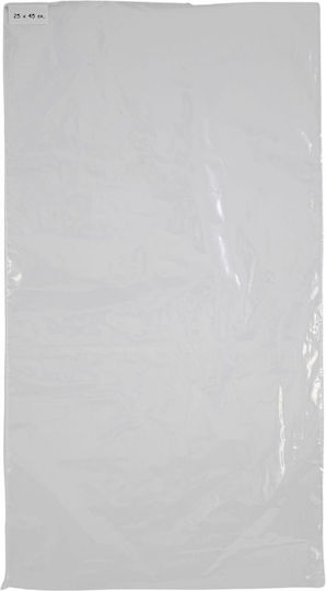 Polyethylene (PE) Packaging Bag 17x28cm 100pcs
