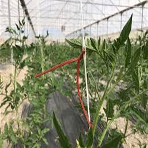 Anthesis Isonet T Φερομόνη Παρεμπόδισης Σύζευξης