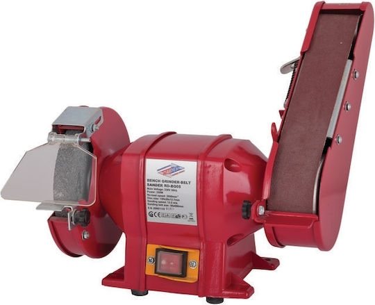 Raider Zweirädrig RDP-BG05 mit Leistung 250 Watt