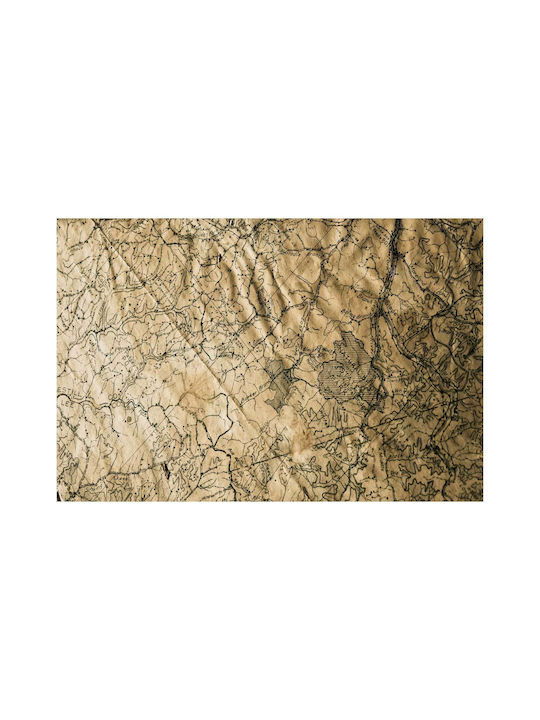 Картина на стара карта 65x40